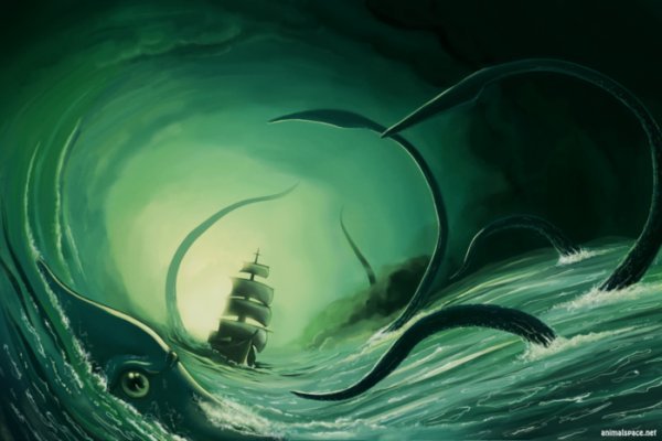 Kraken 24 at