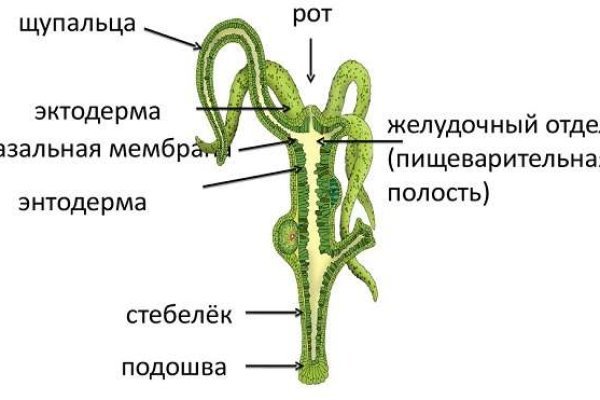 Kra28at