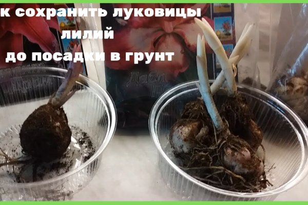 Кракен адрес тор
