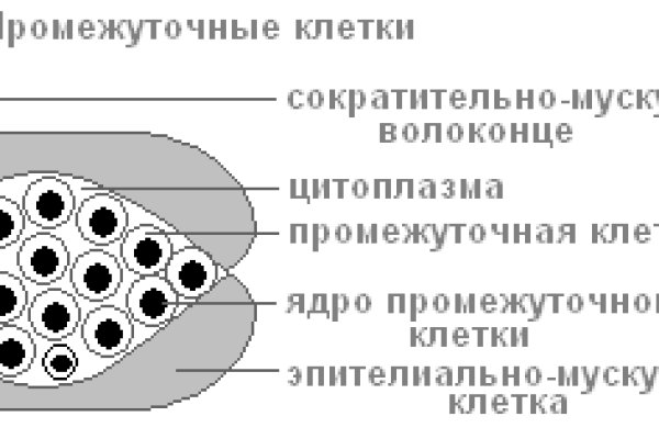 Ссылка на даркнет в тор