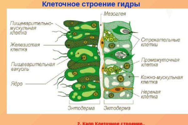 Kraken адрес onion