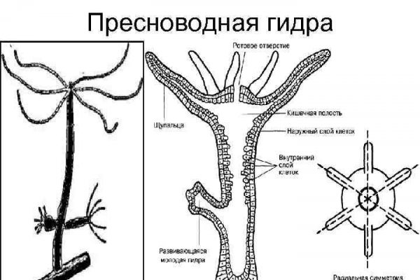 Что с кракеном сайт на сегодня