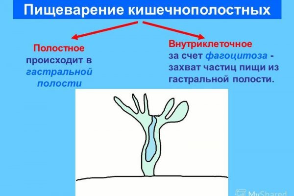 Кракен маркетплейс зайти