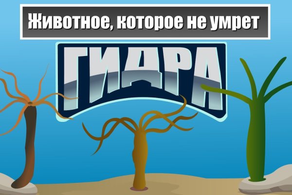 Какой нужен тор чтоб зайти в кракен