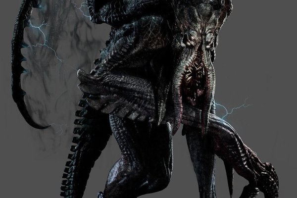 Kraken 25at
