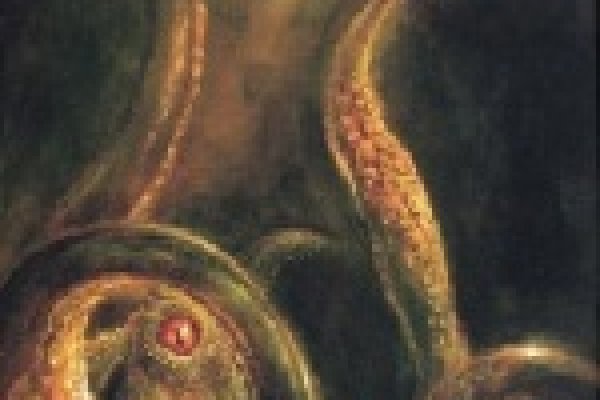Kraken 19 at