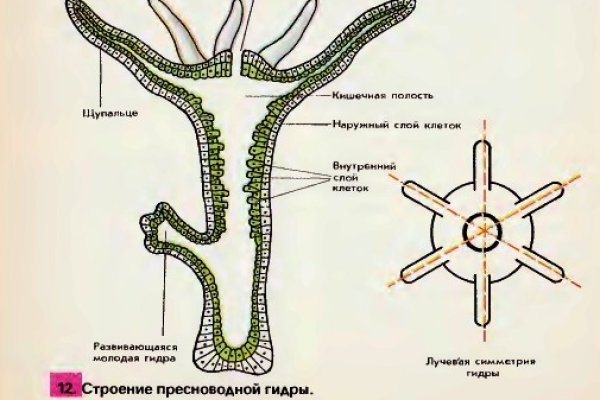 Кракен наркоз магазин