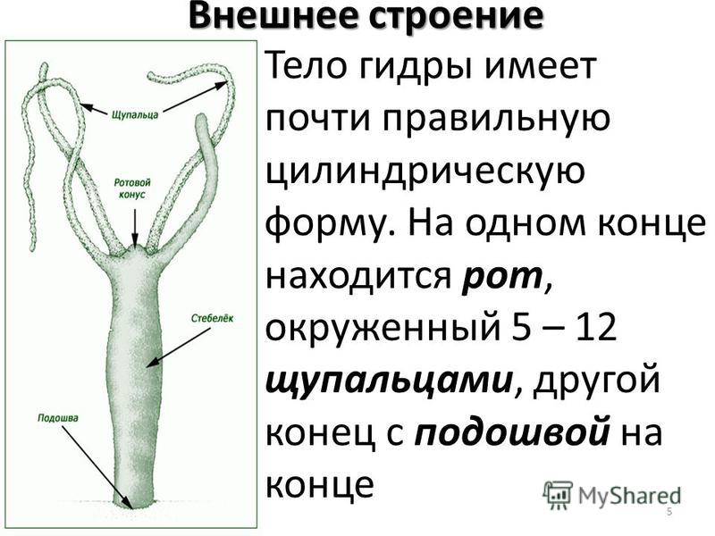 Как восстановить страницу на кракене